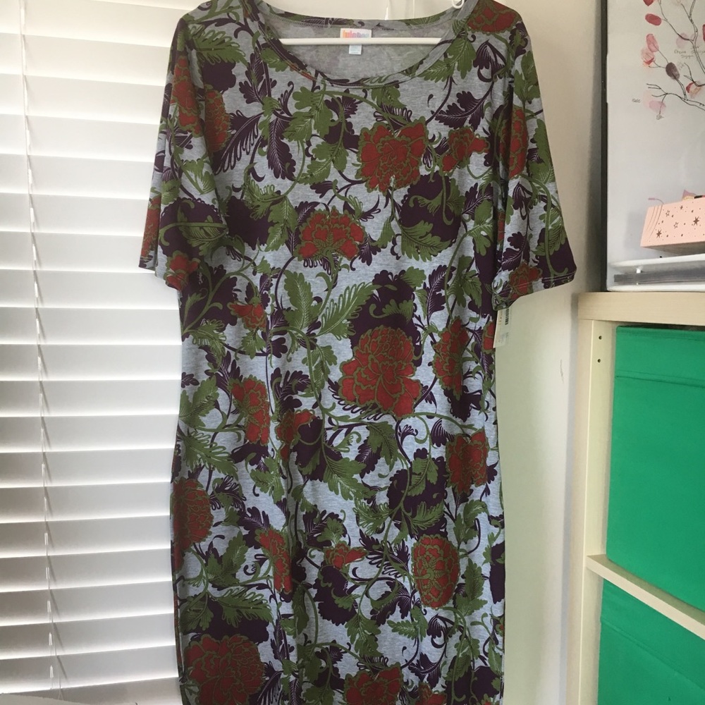 2x Lularoe Julia Dress